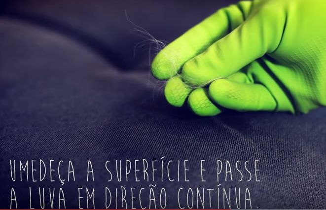 Como remover pelo de animais usando truques muito simples