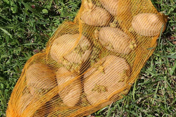 Coloca um saco de batatas no meio de palha e… Um truque muito simples para economizar dinheiro!