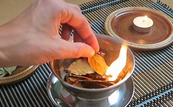 O que acontece quando queima folhas de louro dentro de casa