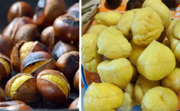Castanhas assadas em 5 minutos (a casca sai inteira e sem esforço)